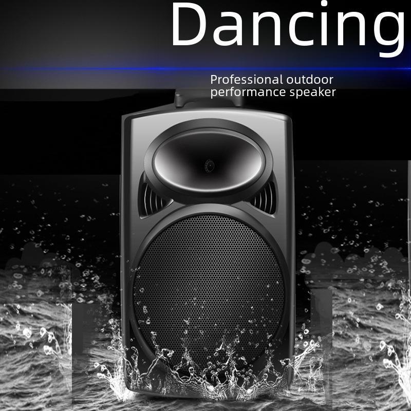 12-Zoll Tragbarer Bluetooth Karaoke-Lautsprecher mit Mikrofon
