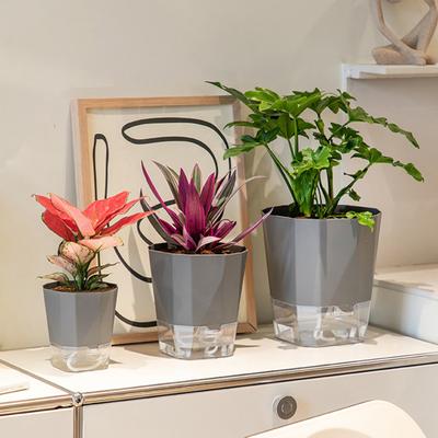 Milieuvriendelijke zelfwatergevende bloempot dubbele laag handig absorbeert automatisch water bloemenhouder met touw