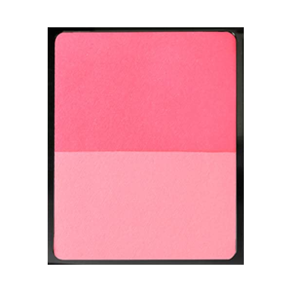 ANNA SUI Cheek Compact 6g 302