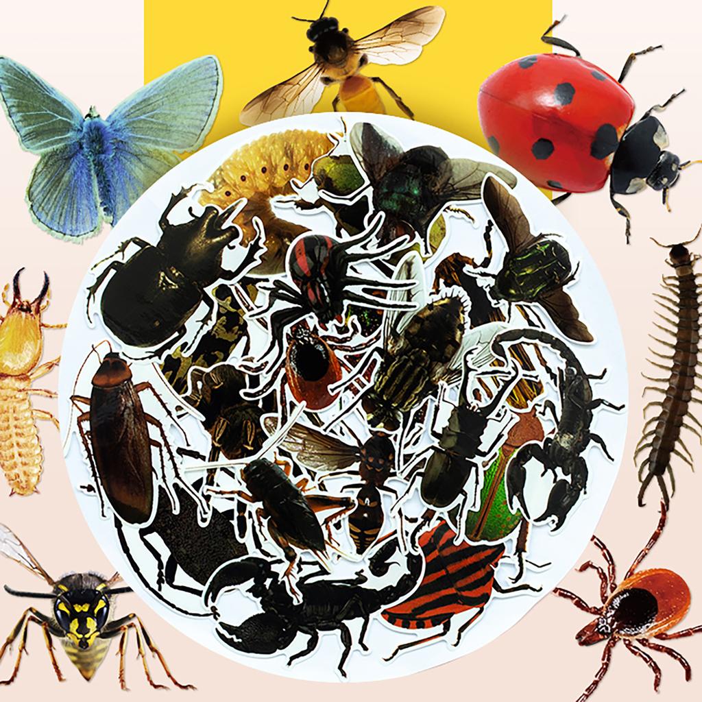 50 Transparent Realistic Insect Decals Butterfly Spider Do-It-Yourself Suitcase Mobile Phone Case Refrigerator Decals