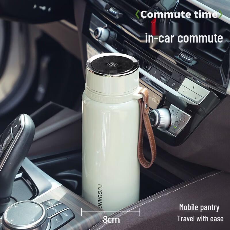 FUGUANG 316L Stainless Steel Insulated Tea Tumbler with Infuser