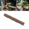Parrot Paw Grinding Teeth Grinding Bird Cage Accessories Pet Toy Bird Stand Holder Hamster Branch