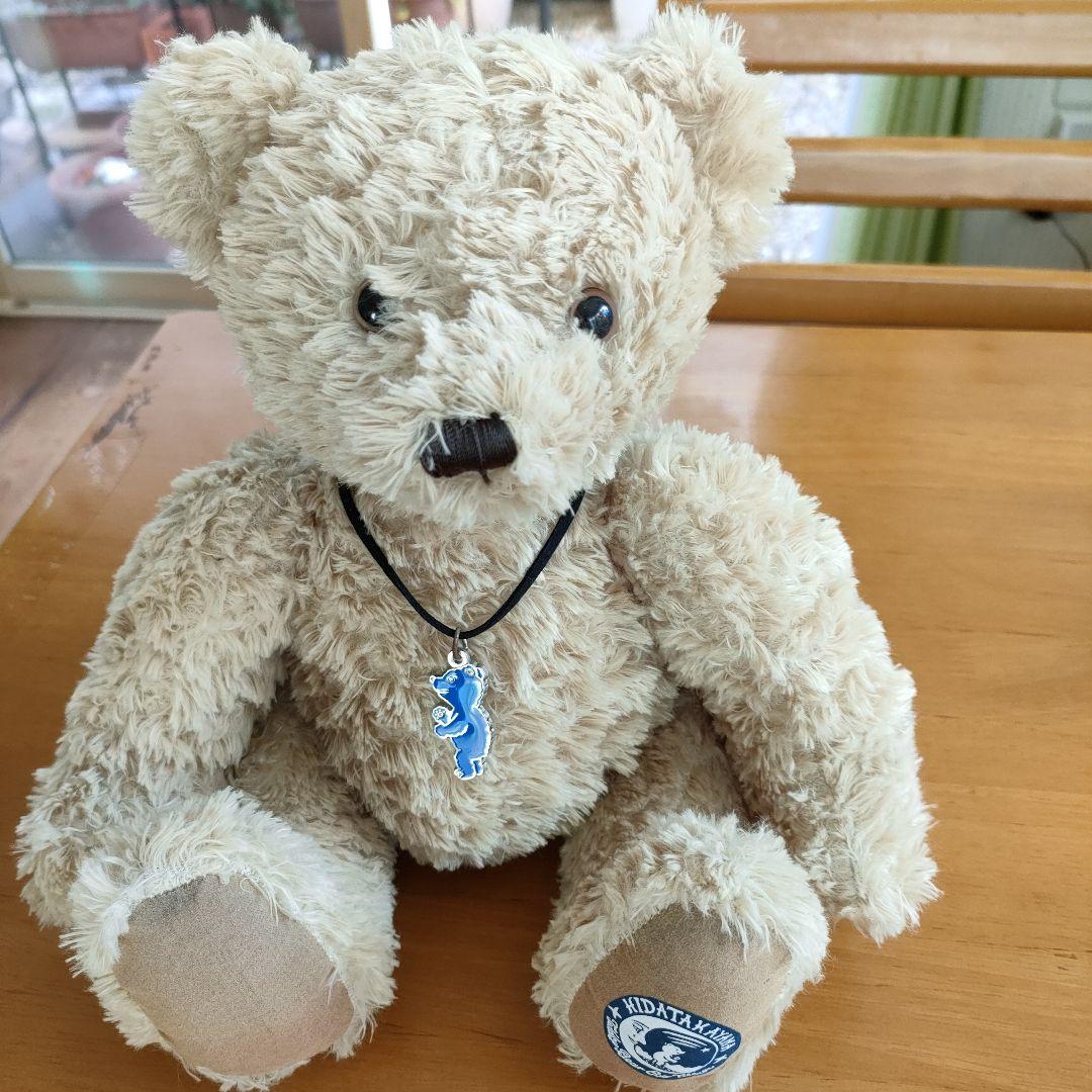 

[USED] Teddy bear stuffed animal