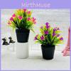 Small Orchid Plant Plastics Potted Plant Window Dressing For Decor Hotel