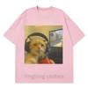 Funny Gamer Cat Meme Printed Tshirt Women Fashion Summer Short Sleeved Casual Harajuku T-shirts Tops Casual Clothing