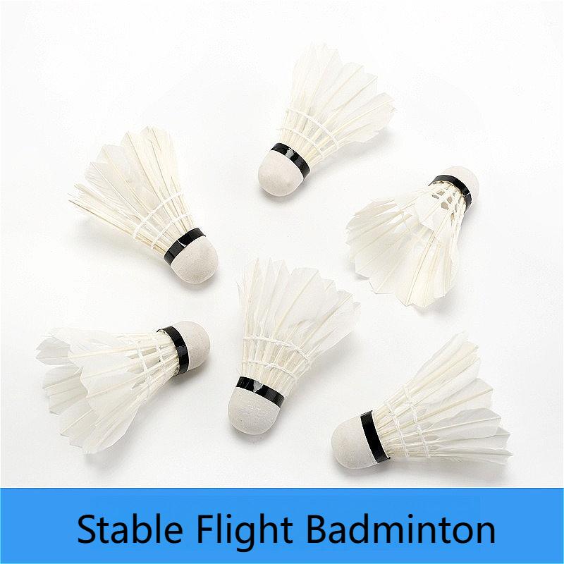 12pcs Feather Badminton Shuttlecocks Great Stability High Speed Badminton Birdies Balls for Sports Training Indoor Outdoor Game