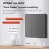 Graffiti WiFi Smart Switch Control Panel with Google, Alexa, Xiaoai, Tmall Integration