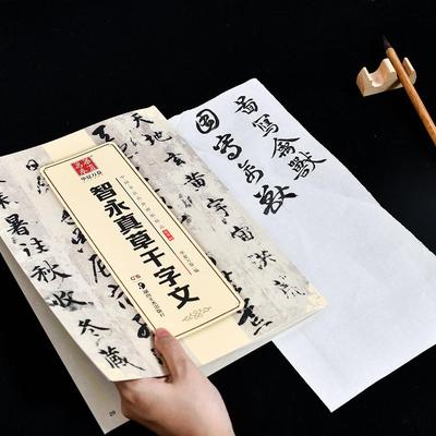 Exquisite Works: Zhi Yong's True & Cursive Thousand Character Classic - Calligraphy Practice Sheets