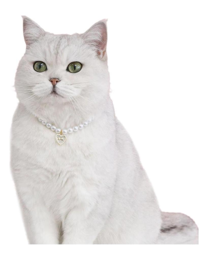 Przyciągający wzrok, wykwintny wisiorek dla kota, psa, wiśni, sztuczna obroża z perłami. Artykuły dla zwierząt