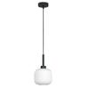 Black Hanging Ceiling Lamp with White Glass Shade Denzy 15-090Z