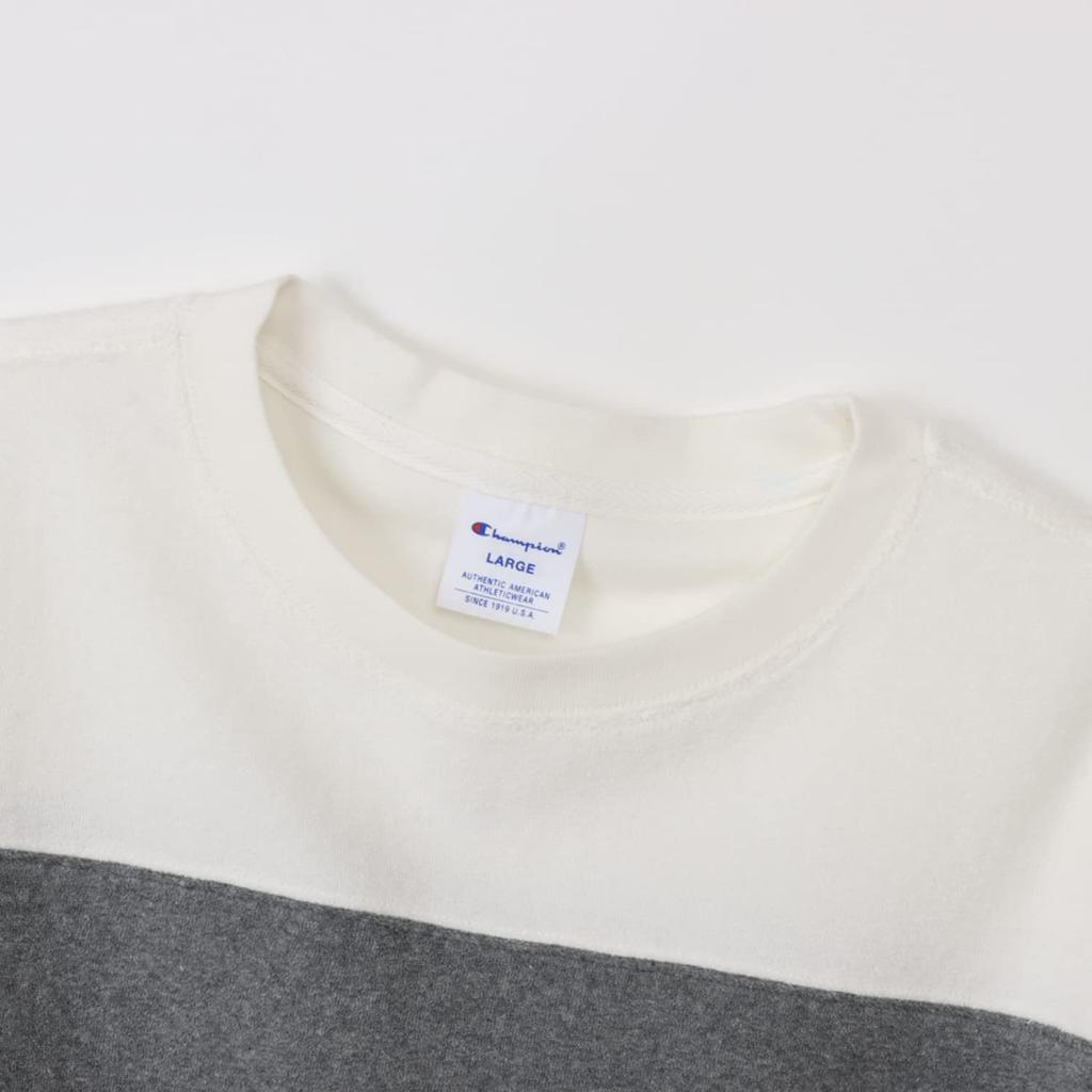 Champion T-Shirt, Short-Sleeve, Crew Neck, COTTON USA, Single-Logo Embroidery, Panel Short-Sleeve T-Shirt, Basic, C3-X360-010-L