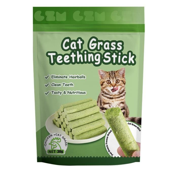 Naturlig gress katt molar stang innendørs tyggepinne tyggegodbit for kattunge munn Sunn naturlig kattegress innendørs kjæledyrtygg