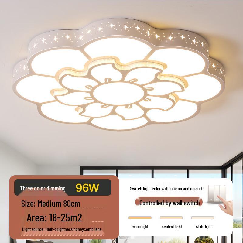 Modern Dimmable LED Ceiling Light