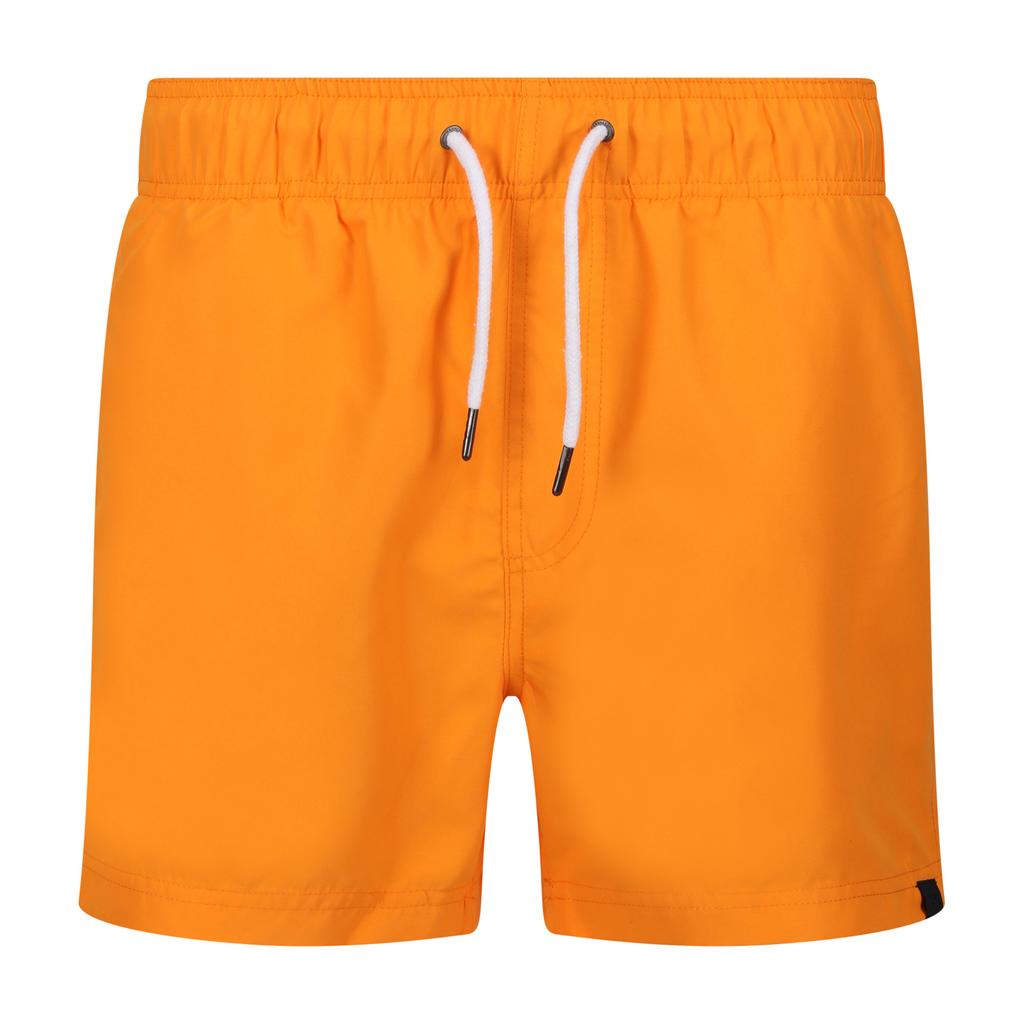 Regatta Mens Mawson II Swim Shorts