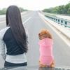 Dog Hoodie Winter Hoodie Hat Pocket Fashion Warm Clothes Small Dogs Cartoon Sweatshirt Comfortable Dog Clothes Outdoor Running
