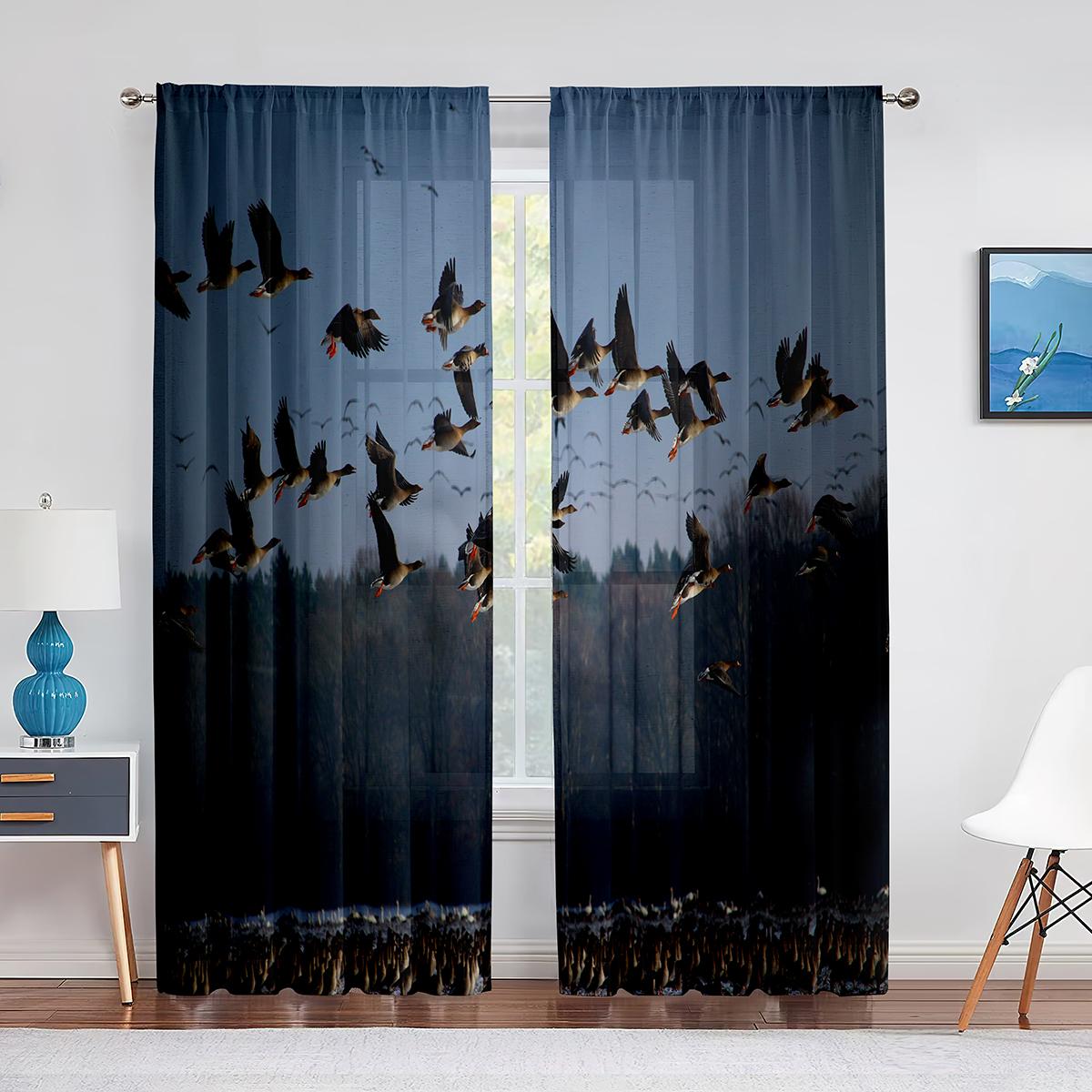 Птичья стая в небе — фото 8