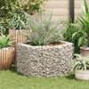 VidaXL Raised Bed with Hexagonal Gabion 100x90x50 Cm Planter Flower Pot 142532