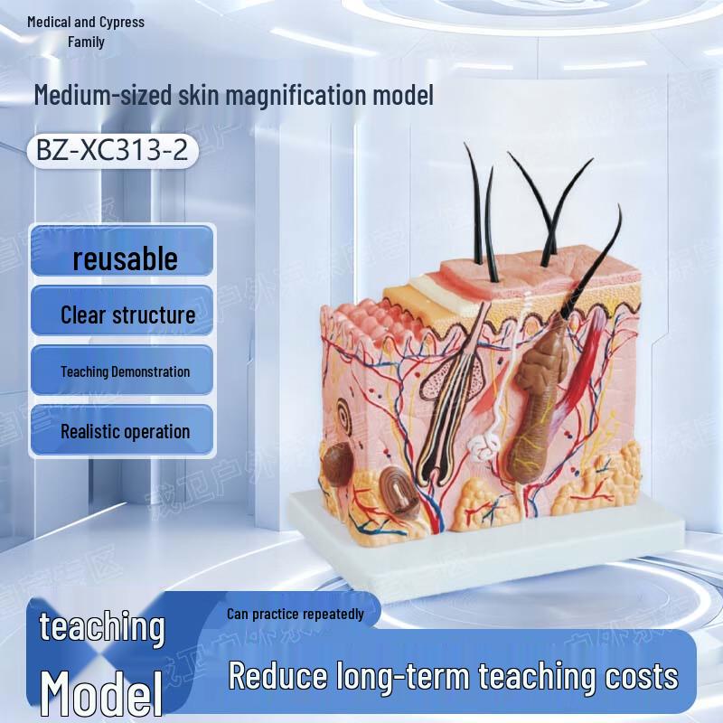 Yibai Ke Medium Skin Magnification Model