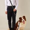 Cães – Colares e correias para cães
