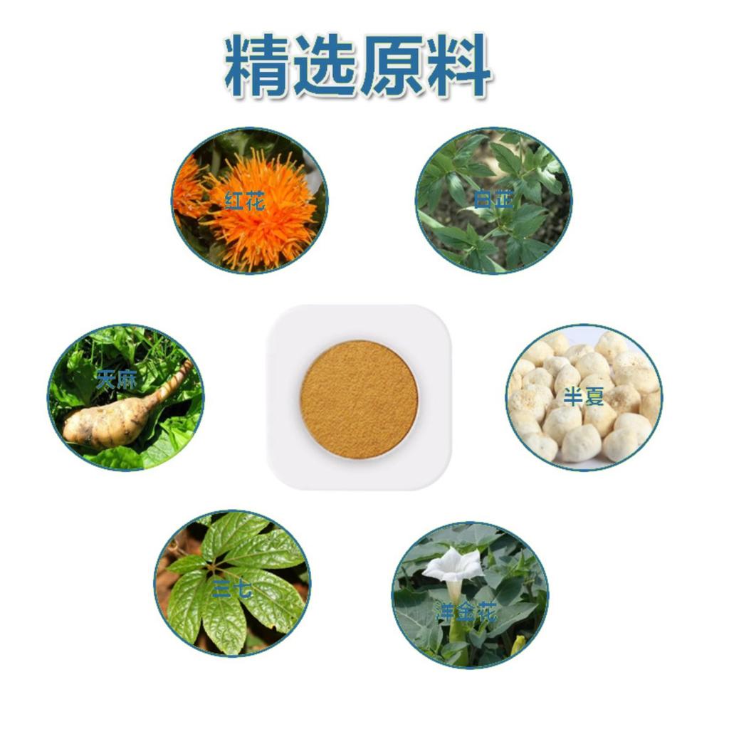 Motion Sickness Patch 10 Count, Fast-Acting Relief for Nausea, Dizziness, Travel Sickness, Natural & Non-Drowsy Formula