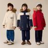 PawinPaw Boys Cartoon Bear Four-Proof Heat Retention Down Jacket