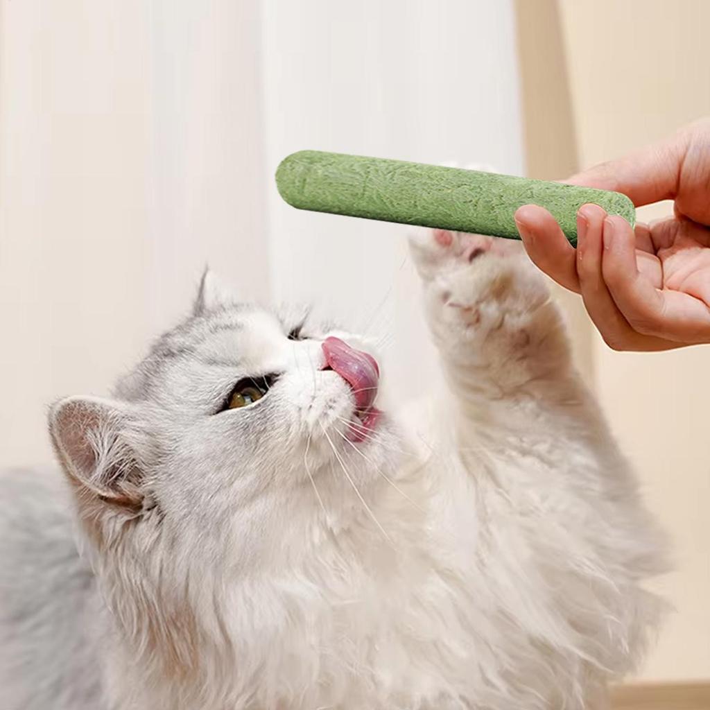 Cat Grass Teething Sticks Chew Toy Kitten Cat Mouth Healthy Teeth Cleaning Pet Snacks Cat Grass Stick Cat Teeth Grinding Stick