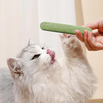 Kedi – Kedi Oyuncakları
