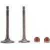 Intake & Exhaust Valve Kit for Yamaha TTR125 TTR125E TTR125L TTR125LE XT125 YBR125 YFA1 Breeze YFM125 Grizzly - Replaces 5VL-E2111-00 5HH-E2121-00 -