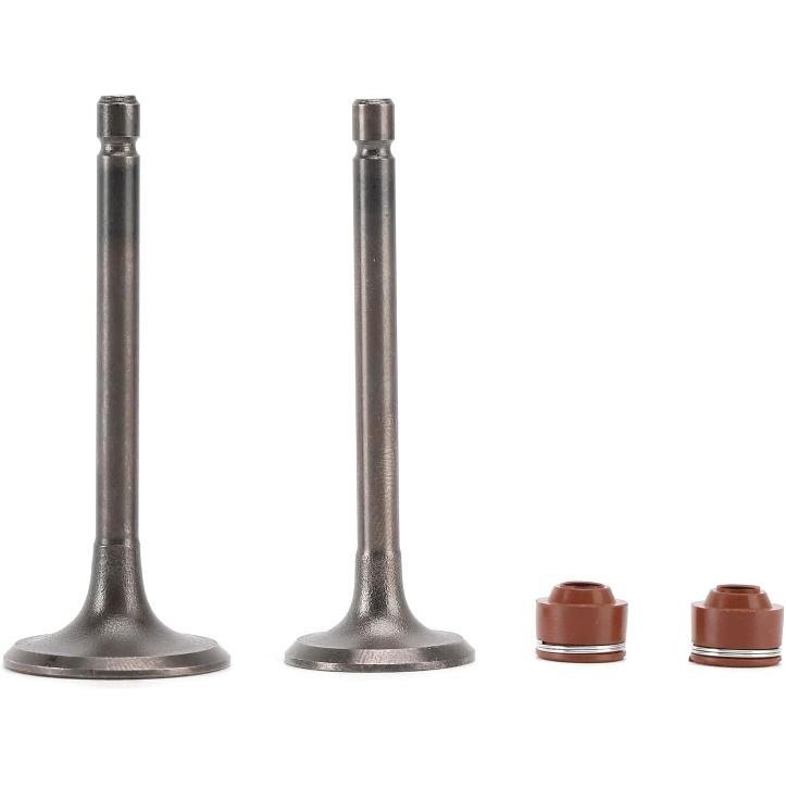 Intake & Exhaust Valve Kit for Yamaha TTR125 TTR125E TTR125L TTR125LE XT125 YBR125 YFA1 Breeze YFM125 Grizzly - Replaces 5VL-E2111-00 5HH-E2121-00 -
