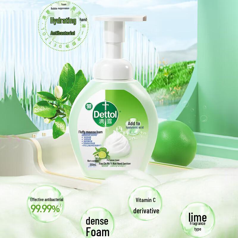 Dettol Lime Scent Foaming Hand Wash (2-Pack)