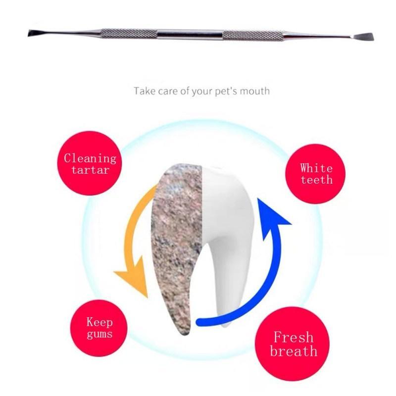 Stainless Steel Double Ended Dental Calculus Removal Tool Tooth Scaler For Dogs And Cats