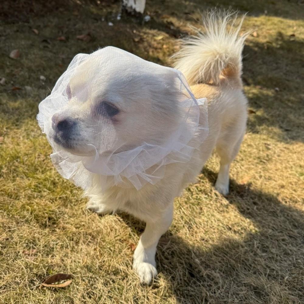 Breathable Dog Anti-Eating Veil Adjustable Elastic Pet Dog Mouth Cover Polyester Comfort Pet Protective Mask Behavior Control
