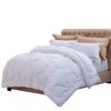 Fuanna Yixiang Warm Core Quilt