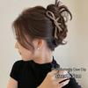 Exquisite Acrylic Claw Clip for Thick Hair - Large High-End Shark Hairpin