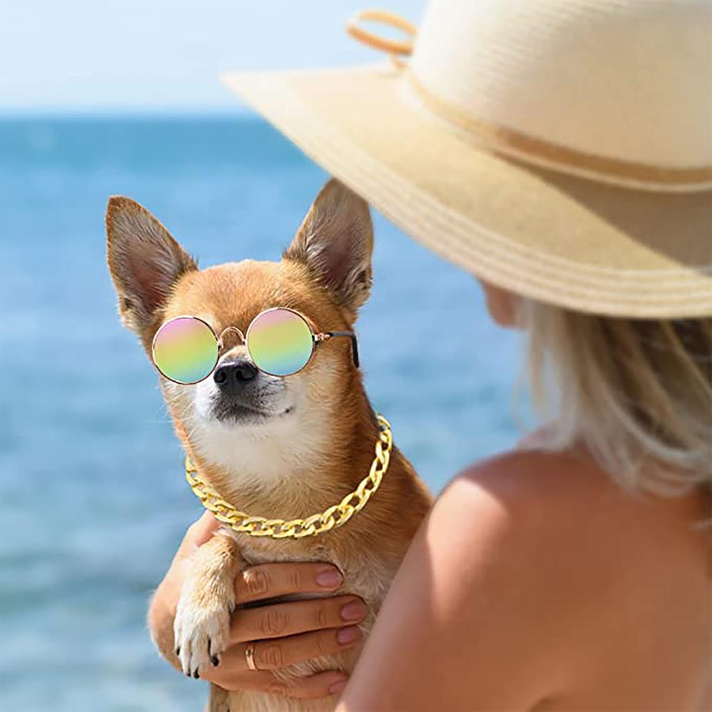 Teddy Bargo French Dog - Gold Chain Small And Medium Dog Collar Pet Necklace Jewelry Accessories