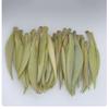 Silver Needle Organic White Tea 65g Sample Pack Loose Leaf Herbal Drink