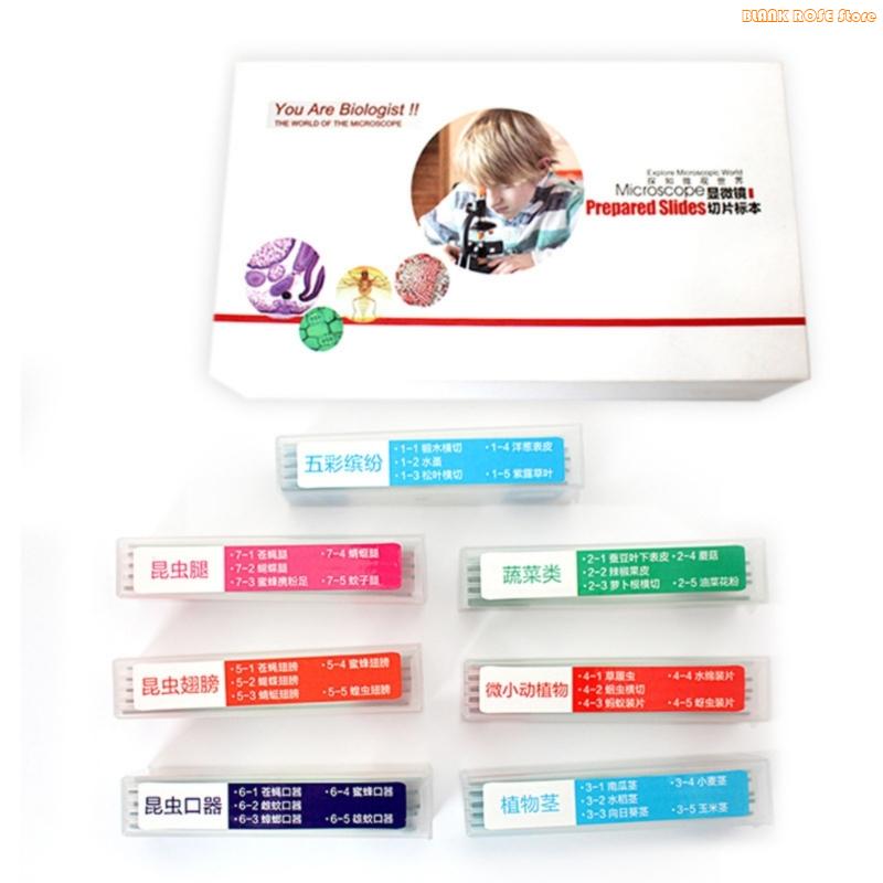 K1AE 35pcs Educational Microscope Prepared Slides Seven Categories Biology Classroom