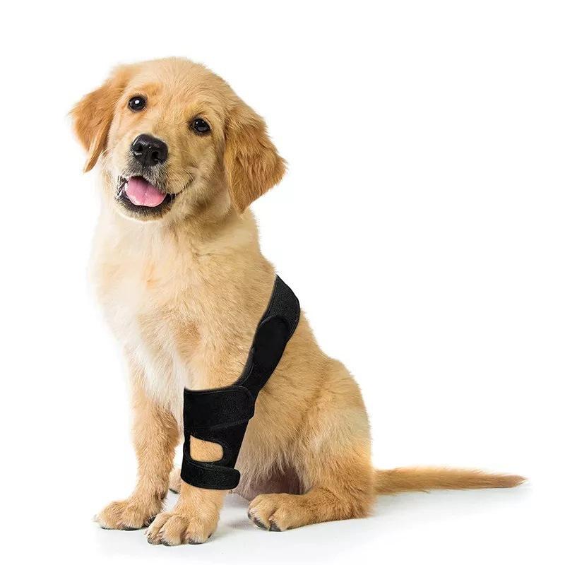 Adjustable Dog Hip Leg Support with Steel Support Chloroprene Rubber Wrap for ACL Tear Arthritis Hip Dysplasia Injury Recovery