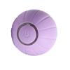 Pet Ball Toy Silicone Rolling Ball Sound Light Rechargeable Ball Obstacle Avoidance for Dog Cat