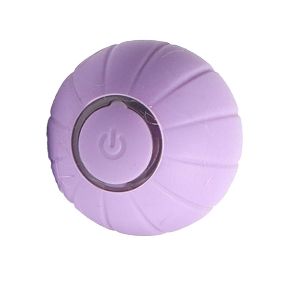 Pet Ball Toy Silicone Rolling Ball Sound Light Rechargeable Ball Obstacle Avoidance for Dog Cat