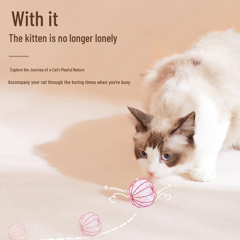 Interactive Cat Chase Toy: Crinkle Paper Ball In Sphere Cage for Self-Play