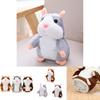 Cute Talking Hamster Pet Plush Toy Kids Sound Record Toy | 15/18cm