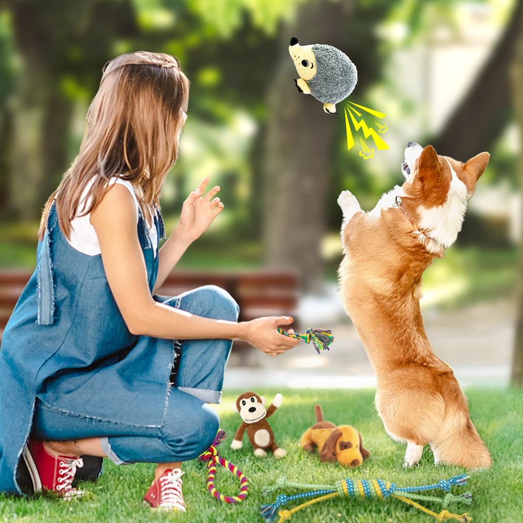 Dog Rattle 12 Pcs Puppy Toys for Cute Dog Toy Dog Set with Stuffed Animal Natural Cotton Puppy Loca Toy Dog Chew Toy Dog Dog Dog Dog Dog Dog Dog Dog