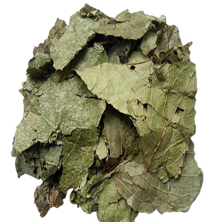 Cortex Eucommia Blatt Chinesische Kräutermedizin - Exklusiver Gesundheitstee für Männer