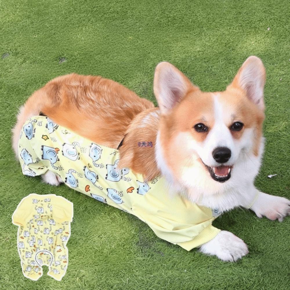 Anti-Slip Dog Dust-proof Clothing Waterproof Dog Leg Protectors Pet Strolling Pants  Outdoor Use