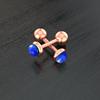 Set 10 Stainless Steel Bar Cartilage Piercing Studs Star Heart Flower Moon Rook Earlobe Screw Statement Earrings Tragus Conch