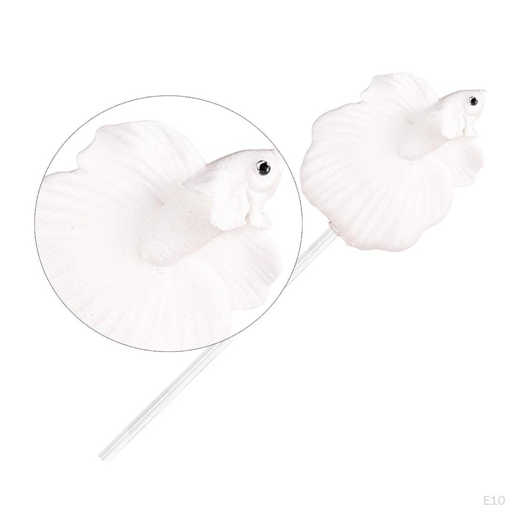 Kampffische zum Trainieren, Ideal für Anfänger. Tragbar, , Und Dekorieren von Aquarien.