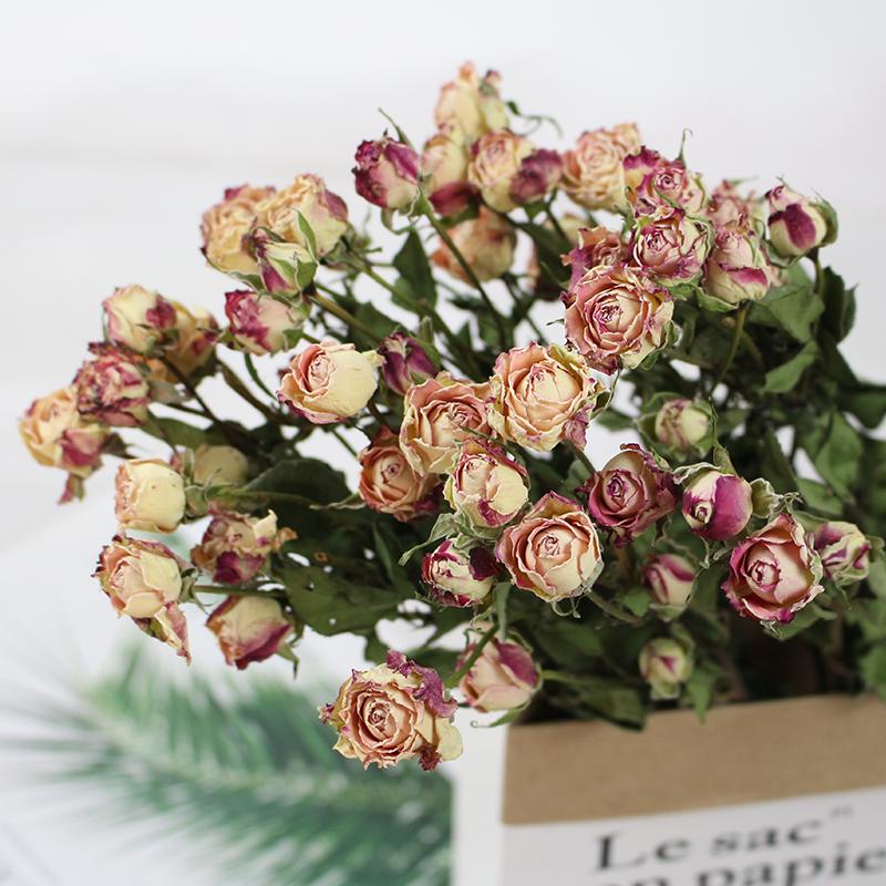 Small Dried Rose Buds for DIY Flower Arrangements and Home Decor