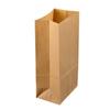Party Treat Bags Paper for Food Holding 100Pcs Beige Kraft Paper Bags