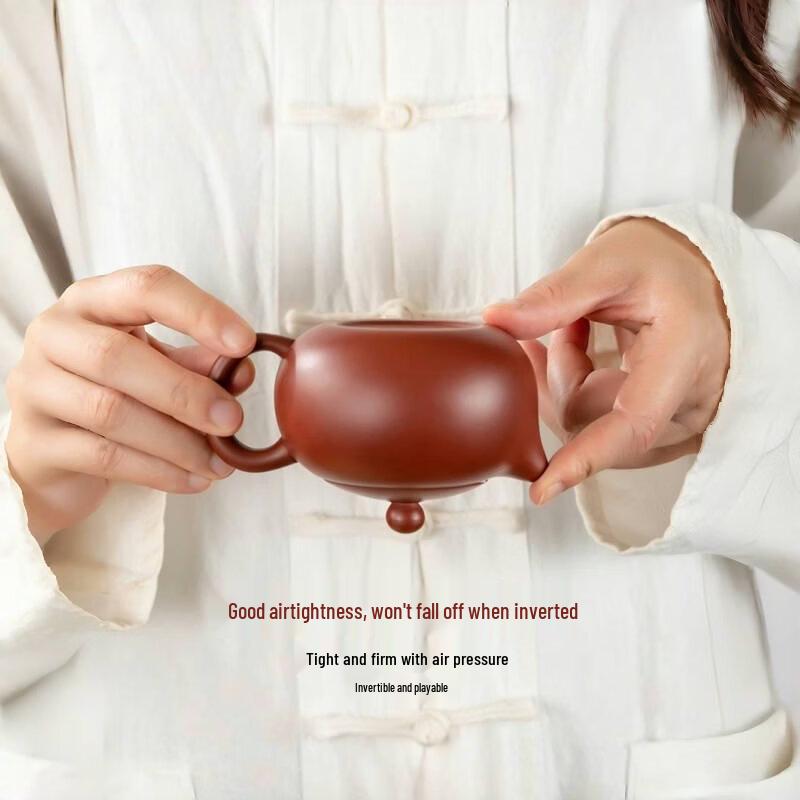 ZISIZ Dahongpao Zisha Xishi Teapot